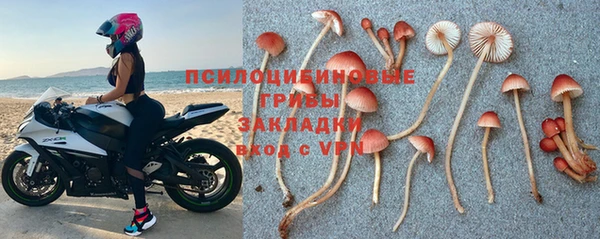 стаф Абаза