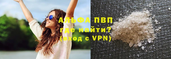 стаф Абаза