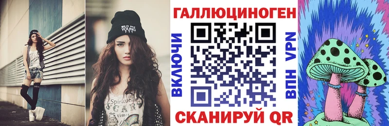 Псилоцибиновые грибы Psilocybe  Хабаровск 